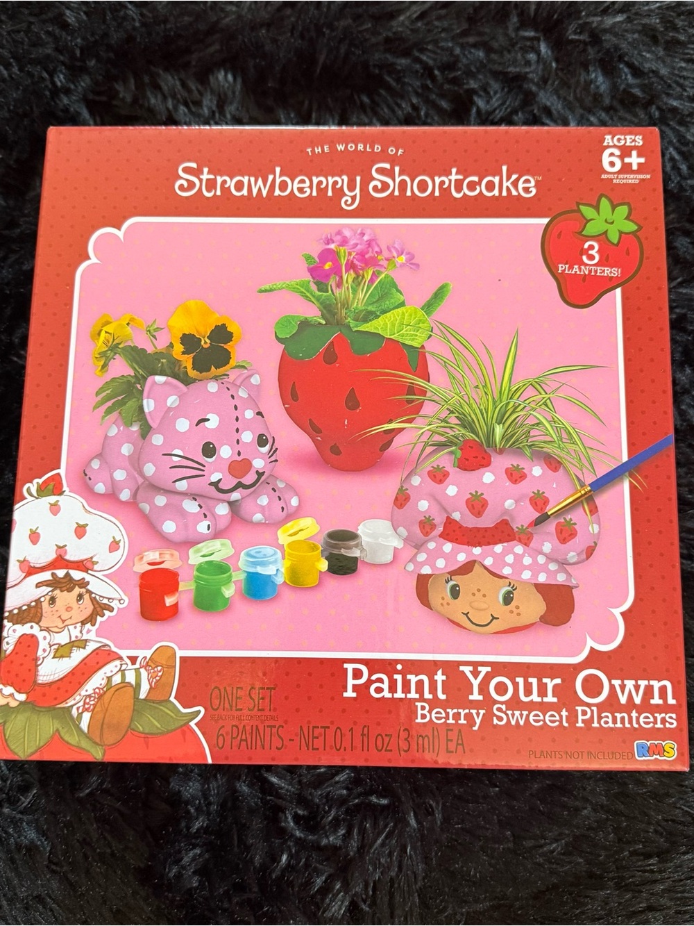 Strawberry Shortcake Paint Your Own Berry Sweet Planters